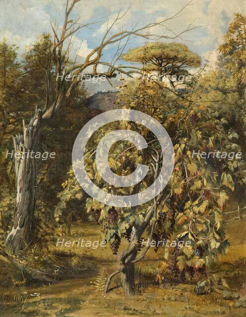 A Vineyard, Gensano, Rome, 1833 - 1838. Creator: Robert Scott Lauder.