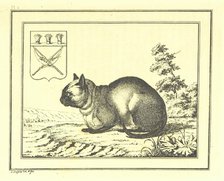 A peculiar species of the domestic Cat, 1793, (1812). Creator: Christian Gottfried Heinrich Geissler.