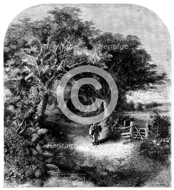 Falling Leaves, 1858. Creator: H. Shepherd.