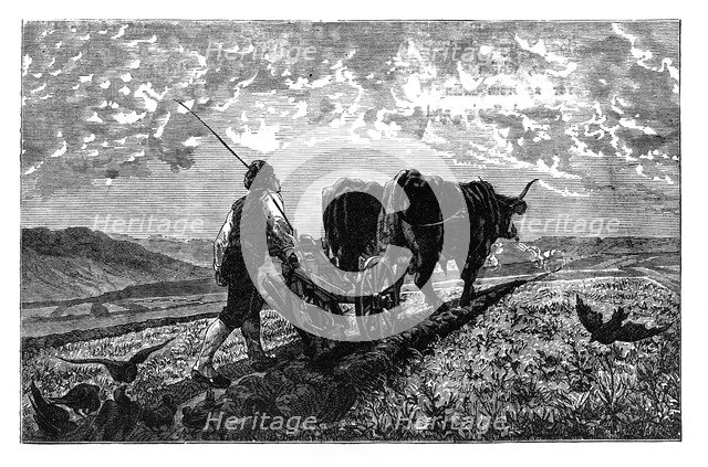 A French agriculturist, c1890. Artist: Unknown