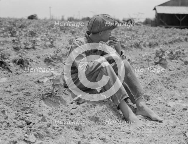 Sharecropper boy, Chesnee, South Carolina, 1937. Creator: Dorothea Lange.