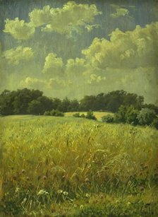 An oat field, 1865-1925. Creator: Hans Michael Therkildsen.
