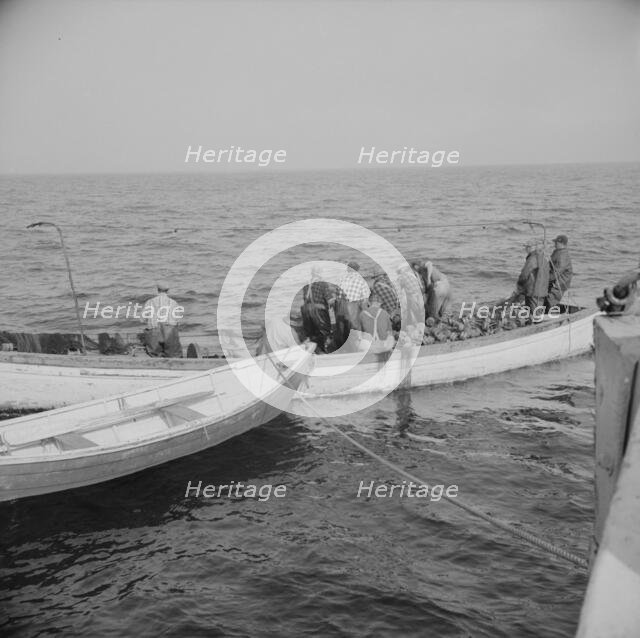 Possibly: On board the fishing boat Alden, out of Gloucester, Massachusetts, 1943. Creator: Gordon Parks.