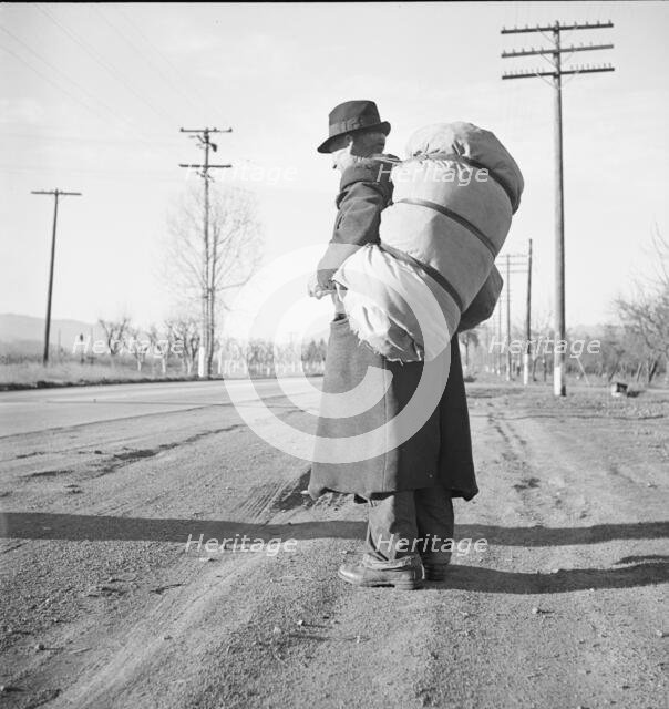 More than twenty-five years a bindle-stiff..., Napa Valley, California, 1938. Creator: Dorothea Lange.
