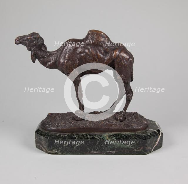 Camel,  mid 19th century. Creator: Antoine-Louis Barye.