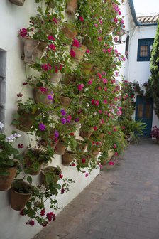 One of the 12 Gardens at the Renaissance Palacio de Viana, Cordoba, Spain, 2023. Creator: Ethel Davies.