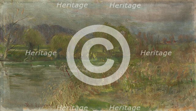 Landscape with swamp, c1900. Creator: Karol Miloslav Lehotský.