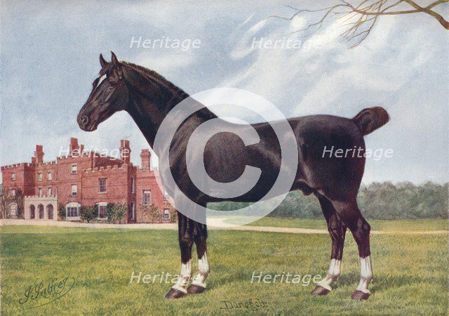 Hackney stallion Danegelt, c1905 (c1910). Artist: Henry Powell Palfrey.