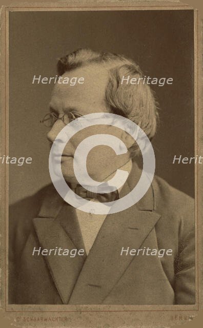 Portrait of the composer and organist August Haupt (1810-1891) , 1884. Creator: Schaarwächter, Julius Cornelius (1847-1904).