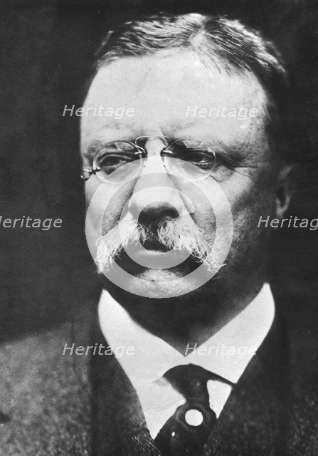 Theodore Roosevelt (1858-1919), twenty-sixth president of the United States, c1900s. Artist: Unknown