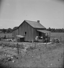Home of turpentine workers near Godwinsville, Georgia, 1937. Creator: Dorothea Lange.
