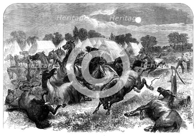 Stampede of cavalry horses at Aldershott Camp, 1871. Creator: Unknown.