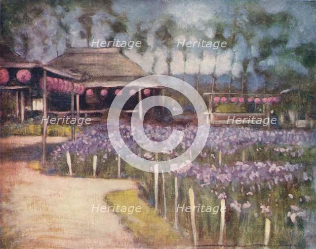 'Iris Garden', c1887, (1901). Artist: Mortimer L Menpes.