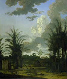 Plantation in Suriname, 1707. Creator: Dirk Valkenburg.