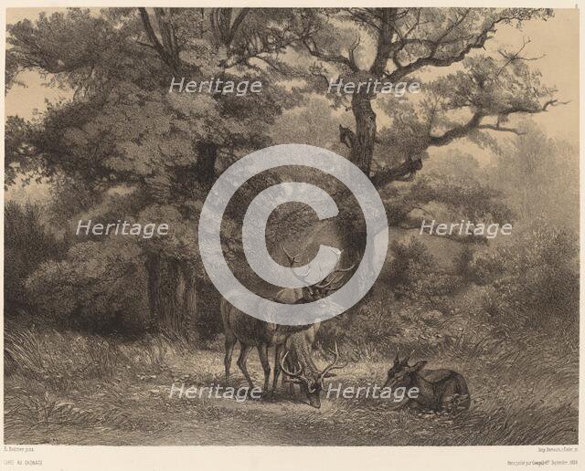 Cerfs au Gagnage. Creator: Karl Bodmer.