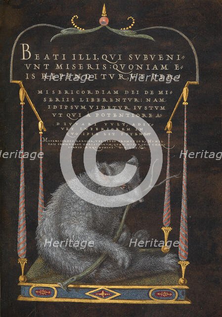 A Sloth; Mira calligraphiae monumenta, 1561-1562;; illumination added 1591-1596. Creator: Joris Hoefnagel.