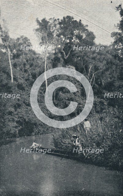 'Rio de S. Anastacio', 1895. Artist: Francisco Henszler.