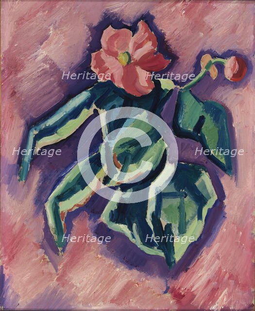 Pink Begonias, 1928-1929. Creator: Marsden Hartley.
