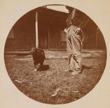 Snapshot: Dog and Man, ca. 1890. Creator: Unknown.