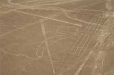 The Parrot, Nazca Lines, Ica, Peru, 2015. Creator: Luis Rosendo.