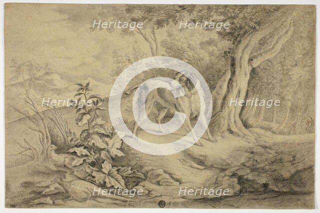 Hunting Dog in Woods, n.d. Creator: James Barenger.