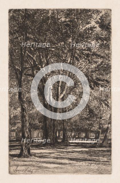 Kensington Gardens, No. 2 (The Larger Plate), 1860. Creator: Francis Seymour Haden (British, 1818-1910).