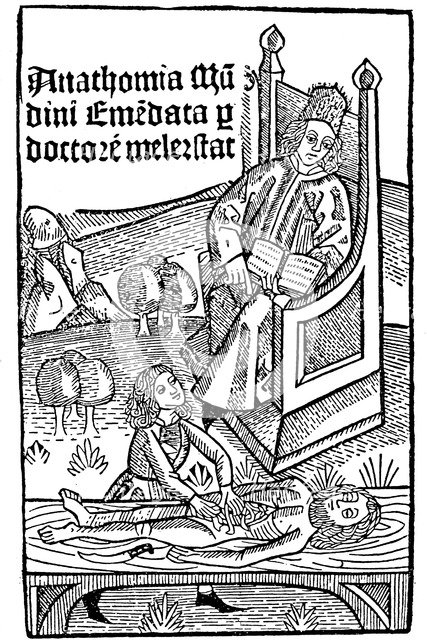 Anatomy demonstration, 1493. Artist: Unknown