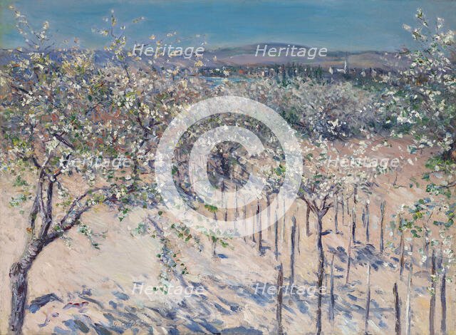 Apple orchard in bloom, Colombes, 1883. Creator: Caillebotte, Gustave (1848-1894).
