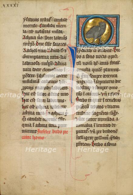 An Eagle Owl; De Natura Avium; De Pastoribus et Ovibus, On the Soul, 1277 or after. Creator: Unknown.