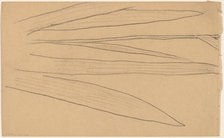 Study of a Flower [verso], 1890/1897. Creator: Charles Sprague Pearce.