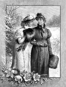 Christmas Roses, drawn by A. Johnson, 1883. Creator: Unknown.