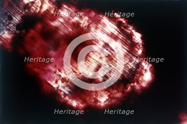 Moon rock. Creator: NASA.