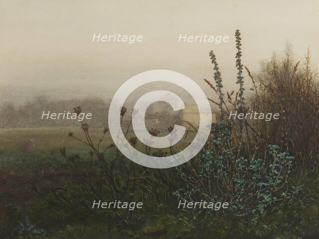 Rural Landscape, 1865. Creator: Leon Bonvin.