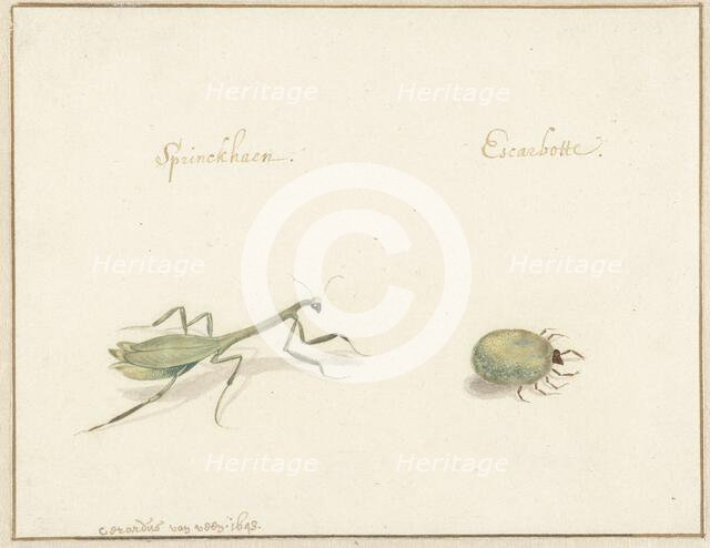 Two insects, 1643-1648. Creator: Gerardus van Veen.