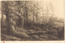 In the Forest (Lisiere de foret). Creator: Alphonse Legros.