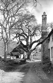 Cottages at Bossington, Somerset, c1900. Artist: Farnham Maxwell Lyte