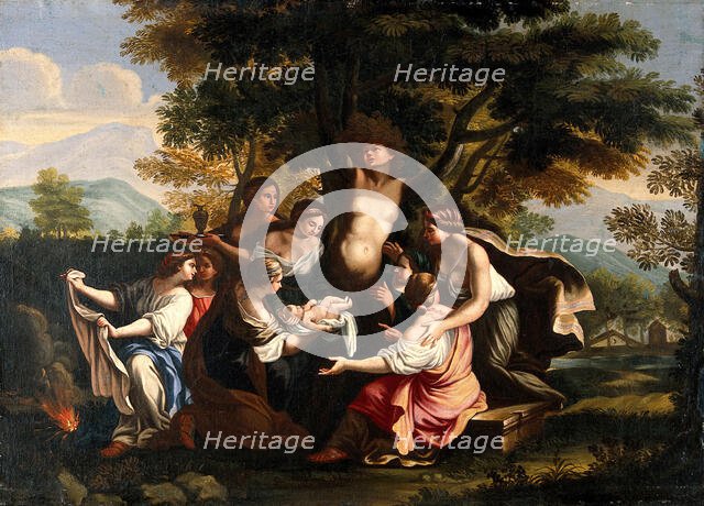 Myrrha, being transformed into the myrrh tree, gives birth to Adonis. Creator: Garzi, Luigi, 1638-1721 (Follower of).