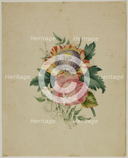 Spray of Flowers, n.d. Creator: Unknown.