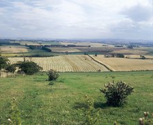 Flodden Field, site of Battle of Flodden 1513, Northumberland, 1994. Artist: John Critchley