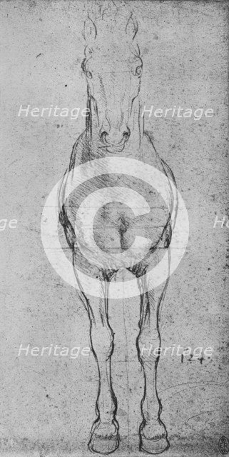 'A Horse Seen from the Front', c1480 (1945). Artist: Leonardo da Vinci.