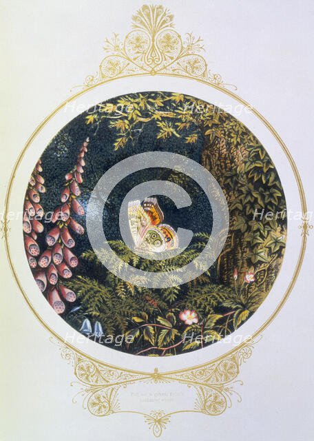 'Till on a green fern's nodding crest', 1870.  Creator: AFL.