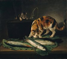 Cats and fish, 1781. Creator: Martin Ferdinand Quadal.