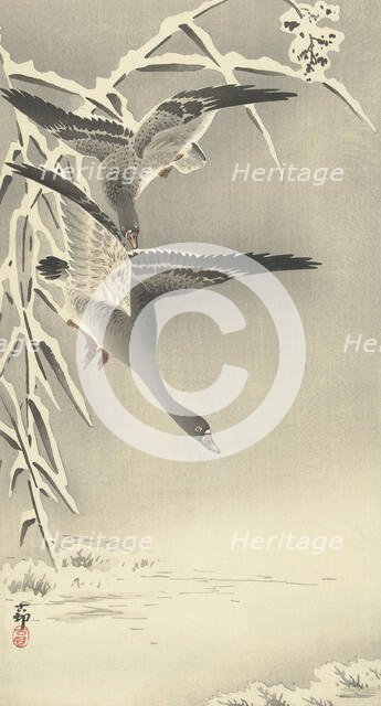 Two white-fronted geese in snowy landscape. Creator: Ohara, Koson (1877-1945).