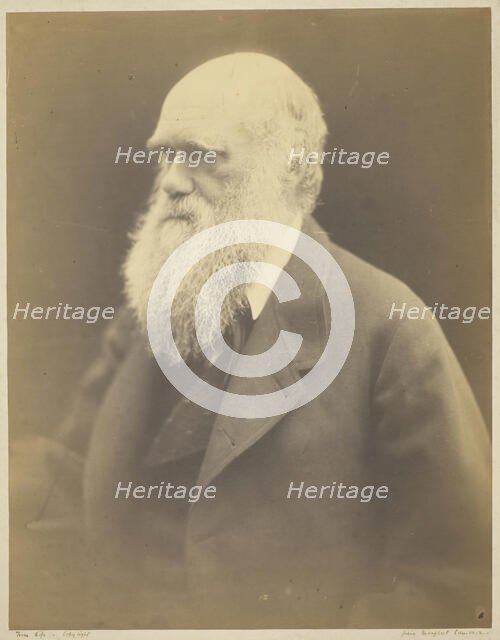 Charles Darwin, 1868. Creator: Julia Margaret Cameron.