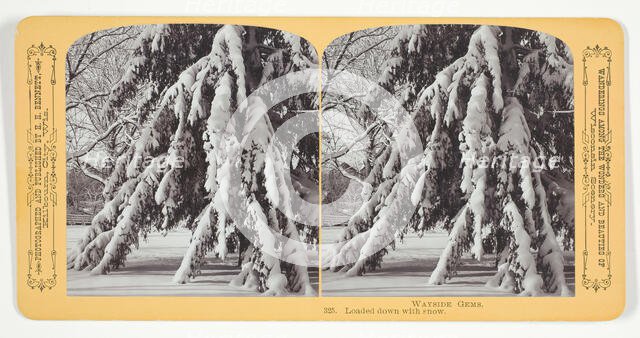 Loaded down with snow, 1870/89. Creator: Henry Hamilton Bennett.