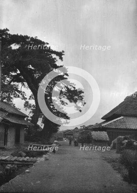 Travel views of Japan and Korea, 1908. Creator: Arnold Genthe.