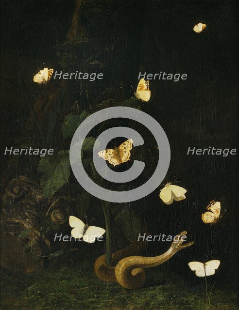 Herbs, Butterflies and a Serpent. Creator: Christian Jansz Striep.