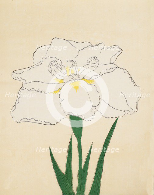 Haku-O-Den, No. 40, 1890, (colour woodblock print)