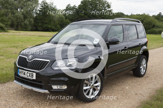 2014 Skoda Yeti SE Artist: Unknown.