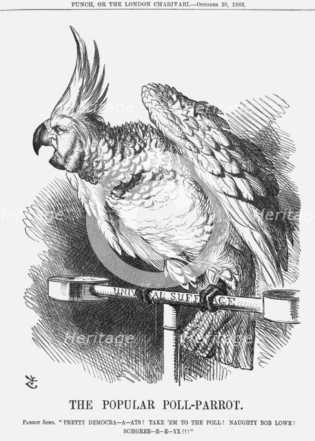 'The Popular Poll-Parrot', 1866. Artist: John Tenniel